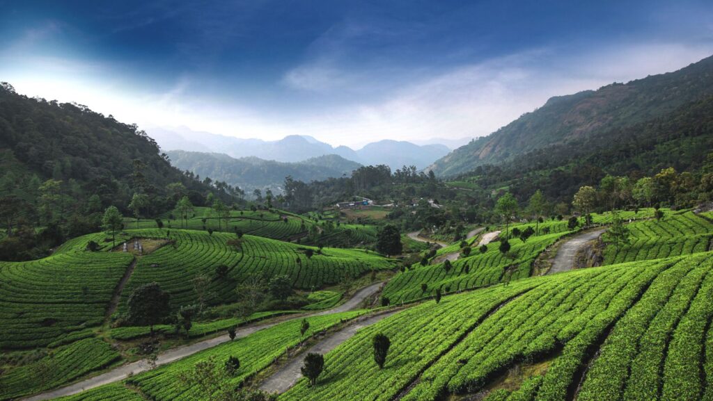 Places to Visit in Munnar for Couples!
